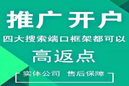 解析SEM主管在竞争激烈市场中的生存之道——以成功案例为鉴